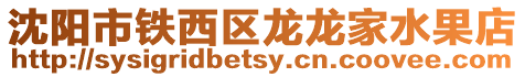 沈陽市鐵西區龍龍家水果店