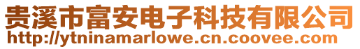 貴溪市富安電子科技有限公司