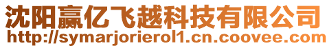 沈陽(yáng)贏億飛越科技有限公司