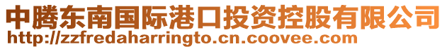 中騰東南國際港口投資控股有限公司