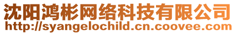 沈陽鴻彬網絡科技有限公司