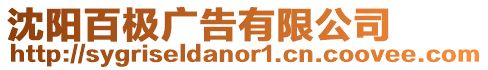 沈陽百極廣告有限公司