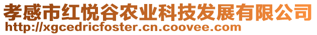孝感市紅悅谷農業科技發展有限公司