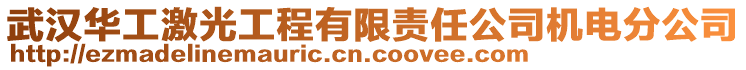 武漢華工激光工程有限責任公司機電分公司