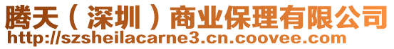 騰天(深圳)商業保理有限公司