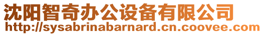 沈陽智奇辦公設(shè)備有限公司