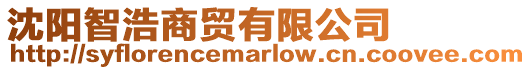 沈陽智浩商貿有限公司
