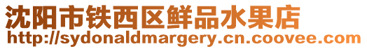 沈陽市鐵西區(qū)鮮品水果店