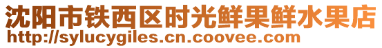 沈陽市鐵西區時光鮮果鮮水果店