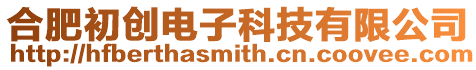 合肥初創電子科技有限公司