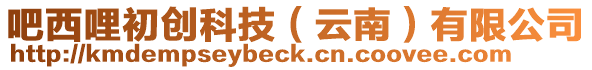 吧西哩初創(chuàng)科技(云南)有限公司