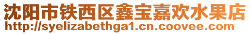沈陽市鐵西區(qū)鑫寶嘉歡水果店