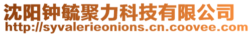 沈陽鐘毓聚力科技有限公司