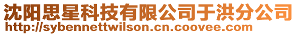 沈陽思星科技有限公司于洪分公司