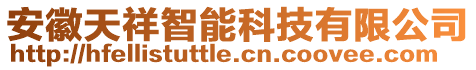 安徽天祥智能科技有限公司