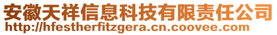 安徽天祥信息科技有限責(zé)任公司