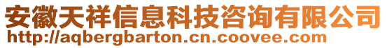 安徽天祥信息科技咨詢有限公司