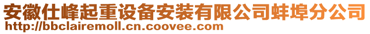 安徽仕峰起重設(shè)備安裝有限公司蚌埠分公司