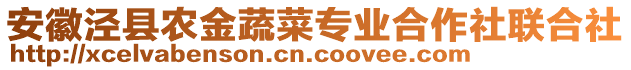 安徽涇縣農(nóng)金蔬菜專業(yè)合作社聯(lián)合社