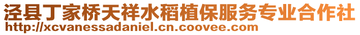 涇縣丁家橋天祥水稻植保服務(wù)專業(yè)合作社