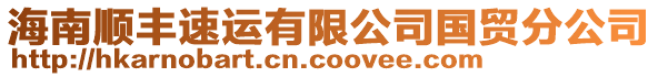 海南順豐速運(yùn)有限公司國(guó)貿(mào)分公司