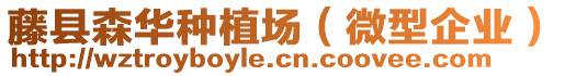 藤縣森華種植場(微型企業)