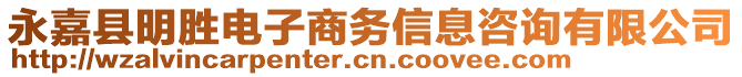 永嘉縣明勝電子商務信息咨詢有限公司