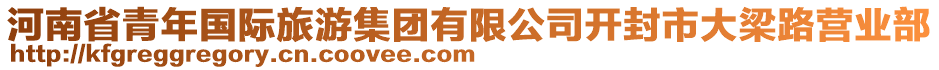 河南省青年國際旅游集團有限公司開封市大梁路營業部