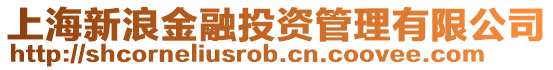 上海新浪金融投資管理有限公司