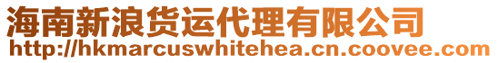 海南新浪貨運代理有限公司