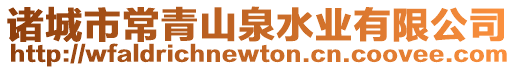 諸城市常青山泉水業有限公司