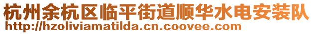 杭州余杭區臨平街道順華水電安裝隊