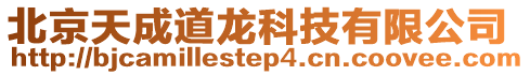 北京天成道龍科技有限公司