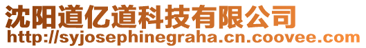 沈陽(yáng)道億道科技有限公司