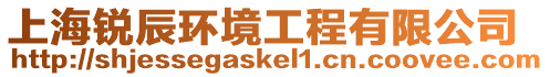 上海銳辰環境工程有限公司