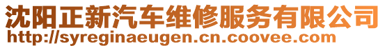 沈陽正新汽車維修服務有限公司