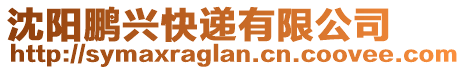 沈陽鵬興快遞有限公司