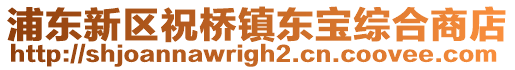 浦東新區祝橋鎮東寶綜合商店