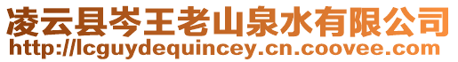 凌云縣岑王老山泉水有限公司