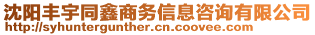 沈陽豐宇同鑫商務信息咨詢有限公司