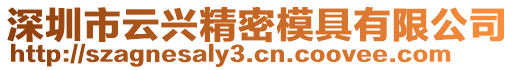 深圳市云興精密模具有限公司