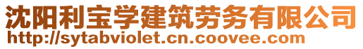 沈陽利寶學建筑勞務有限公司