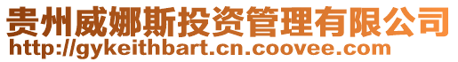 貴州威娜斯投資管理有限公司