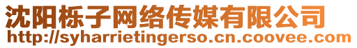 沈陽櫟子網(wǎng)絡(luò)傳媒有限公司