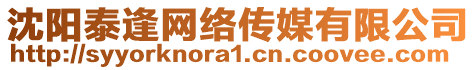 沈陽泰逢網(wǎng)絡(luò)傳媒有限公司