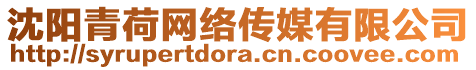 沈陽青荷網(wǎng)絡(luò)傳媒有限公司