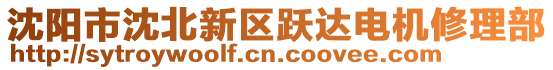 沈陽市沈北新區(qū)躍達(dá)電機(jī)修理部