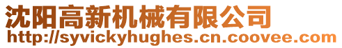 沈陽高新機械有限公司