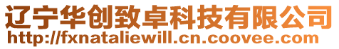 遼寧華創(chuàng)致卓科技有限公司