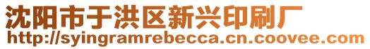 沈陽市于洪區(qū)新興印刷廠